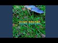 Kamu Bohong