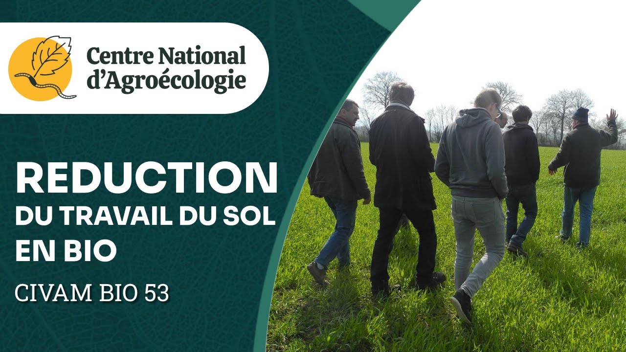 Réduction du travail du sol en Bio - CNA