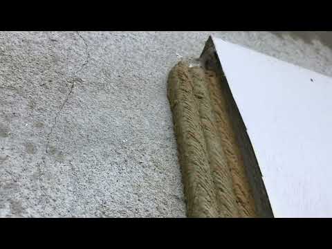 Mud Dauber Nest Found on the Window in Dunellen, NJ