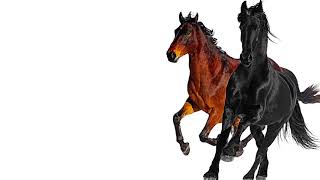 Lil Nas X - Old Town Road (Official Movie) ft. Billy Ray Cyrus Remix