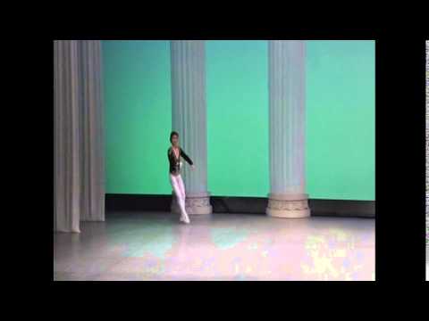 swan lake Kyuno Naoya