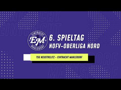 Highlights 6. Spieltag NOFV-Oberliga Nord 23/24 - TSG Neustrelitz vs. Eintracht Mahlsdorf (17.09.23)