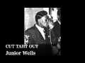 CUT TAHT OUT - Junior Wells