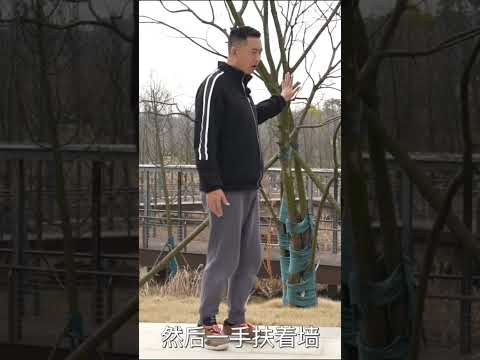 1 movement  teach you to improve knee pain