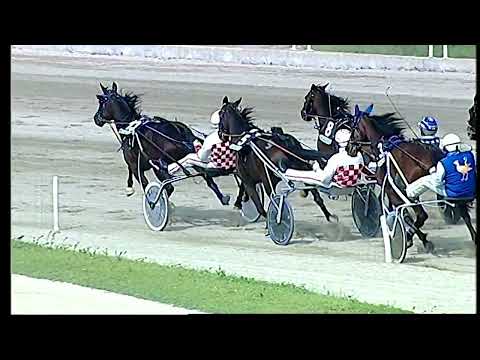 Napoli Trotto 10/04/2022 - 4ª corsa