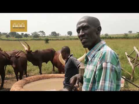 Emburara Farm Lodge Kraal Experience