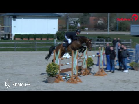 Hengstvorführung Mai 2021 | Khatou-S