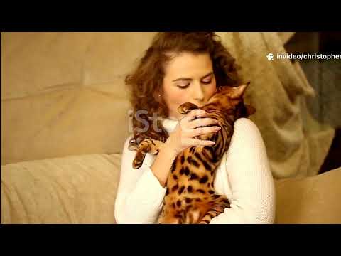 Living with Wild Royalty: Meet the World’s Most Exotic Cats