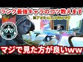 ランク最強キャラの色んなコツ語るよ！これでランク盛りまくれ！ゴールドプラチナ超必見！【apex legends立ち回り解説】