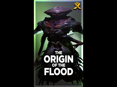 The TERRIFYING Origin of the Flood #HaloLore