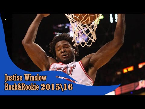 Justise Winslow 02.22.2016 (15 Pts, 7 Reb, 4 Ast, 4 Stl) highlights vs Pacers