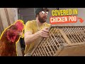 Farmhouse Coffee Table Out Of A Chicken Coop