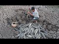 Unbelievable Fishing in Dry Season - Catfish Underground Secret Dry Soil By Fisherman Skills