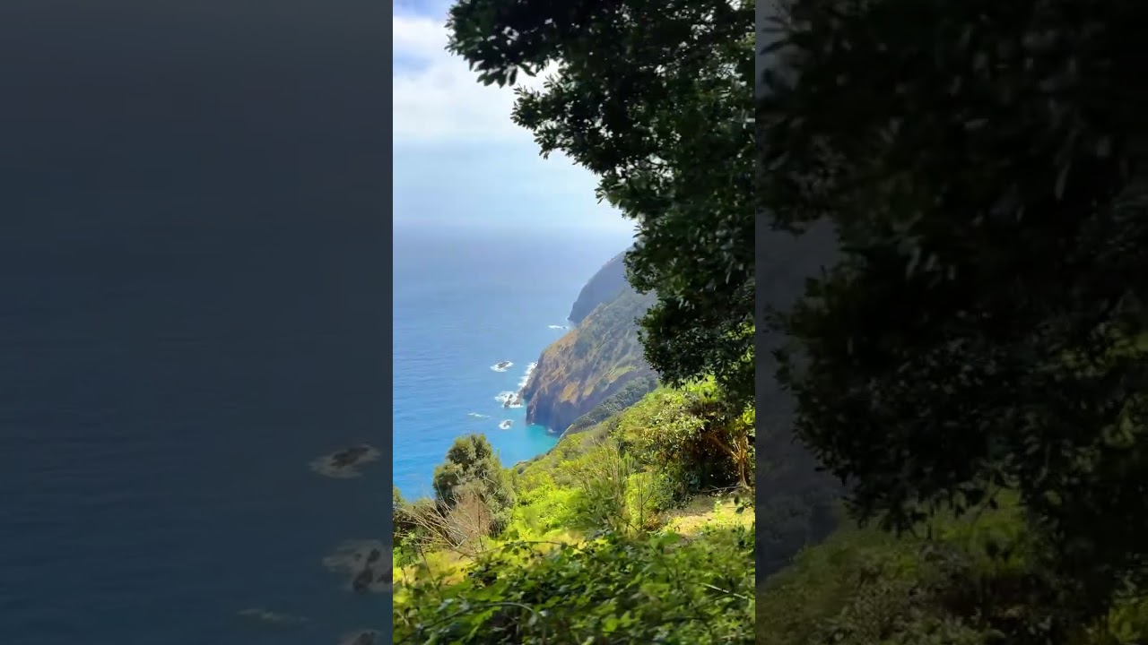 YouTube Short thumbnail