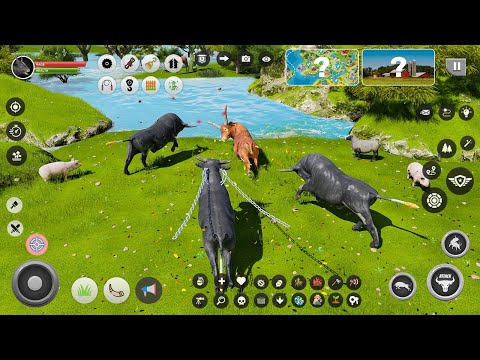 Wild Battle Craft Bull Games !! buffalowranglerrodeostampede #gamesbull #battle #wild #gaming Part 3