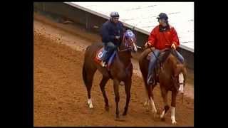 preview picture of video 'May 8, 2012 - Race 7 - Ruidoso Downs Race Track and Casino'