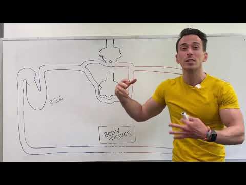 Chronic Bronchitis in 2 minutes!