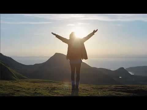 The Forest Within TRAILER