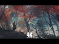 1 Hour Samurai Wondering Ronin 4K Resolution Your Live Wallpaper For PC #wallapaper #livewallpaper DEFAULT Thumbnail