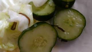 はじめて作った漬物はどうだったのでしょうか /がちの料理実況