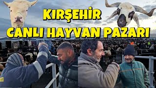 KIRŞEHİR HAYVAN PAZARI ÇOK KALABALIK