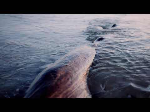 Imagevideo World Heritage Sites and National Parks Stralsund Rügen (Subtitle)