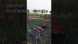 Download lagu Engkau Penyemangat Hidupku Yang Selalu Ada || Atswg || #Shorts mp3