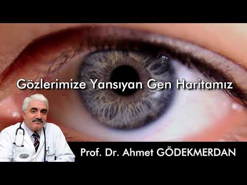 İridoloji