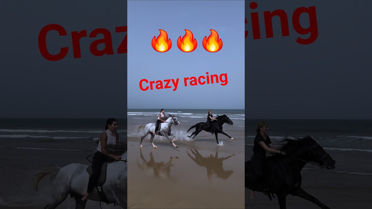 Beautiful horse racing video...#horse #horseriding #shorts