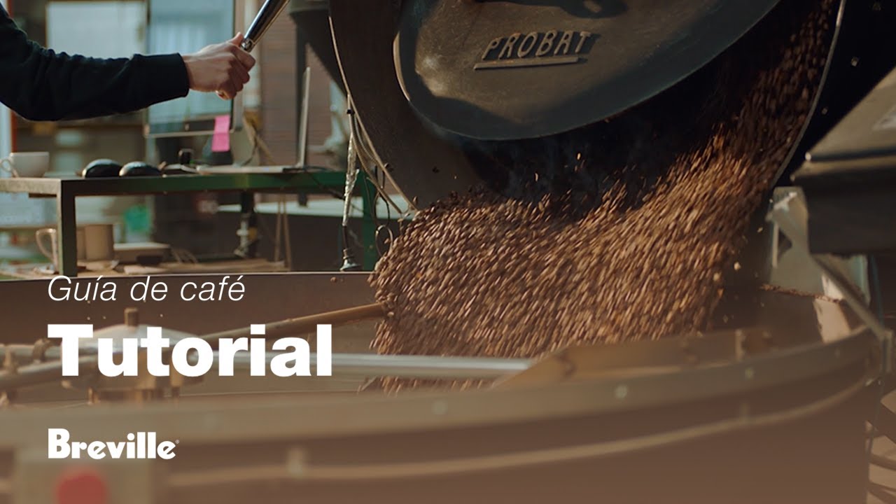 Tutorial de guía de café de Breville - Elegir los granos de café adecuados