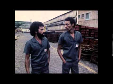 Participar: Experiência no Governo Democrático (1984/85)