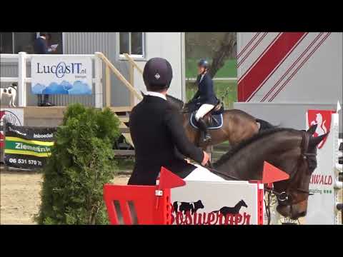 (Sold Belgium) Mare, born 2013 by Dakar VDL (by Cardento) x Larino