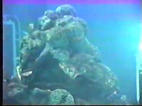 The Living Seas ride, EPCOT, Disney World, 1996