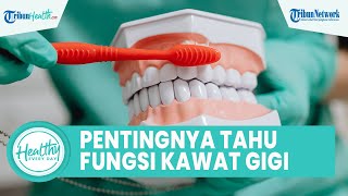 Penting Mengetahui Fungsi Kawat Gigi sebelum Memasangnya, Satu di Antaranya Mastikasi