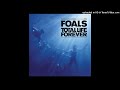 Foals -  Blue Blood