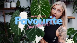 THIS GROWTH IS INSANE! | Houseplant Faves March 2025