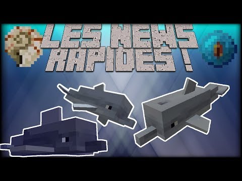 It's a craft ! -  🐬 Finally the dolphins!  (Minecraft Bedrock Beta test)