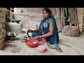 Village Cooking Desi Chikan Recipes Vlogging Video Rural Areas Videos