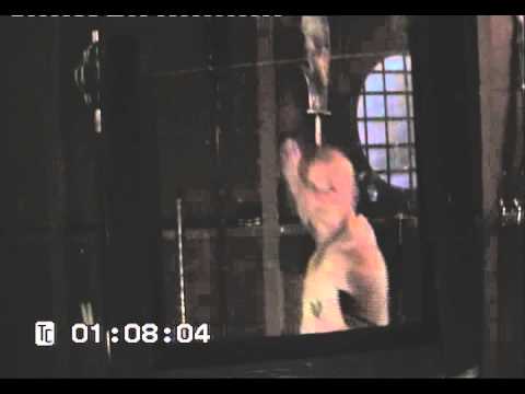 Shaolin Qigong: Needle Through Glass - Sifu Neil Genge