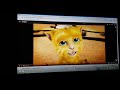 The GingerBob KittenPants Movie Part 11 Shell City