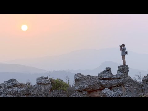 南非的野性奇觀｜國家地理雜誌 (The Wild Wonders of South Africa | National Geographic)