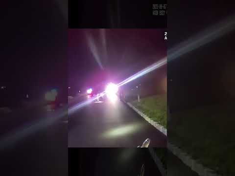 Gator captured after creeping around New Jersey neighborhood for weeks Shorts