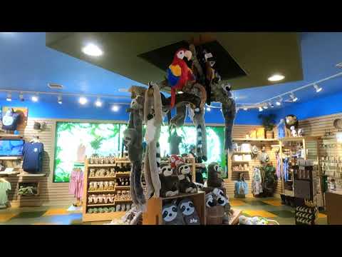 Gift shop tour at the Brevard Zoo.