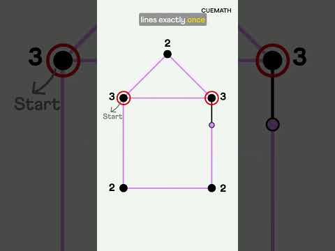 The 7-bridge puzzle that changed mathematics