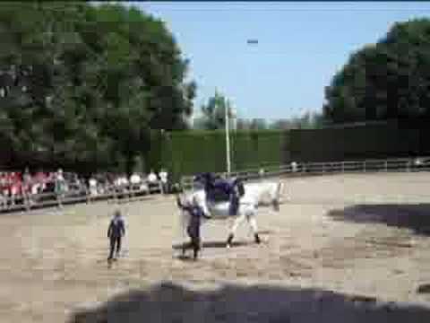 Nationale Special Olympics paardrijden PWA manege