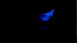 Blue Flame Alcohol SHOT!