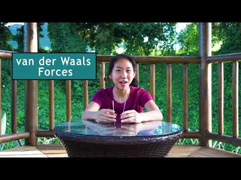 Amber, Mauritius, Physics, Winner: 2021 Breakthrough Junior Challenge