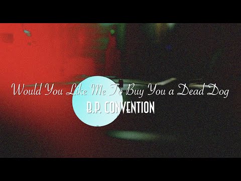 B. P. CONVENTION - Would You Like Me To Buy You a Dead Dog