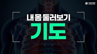 <b>기도</b> 미리보기 썸네일