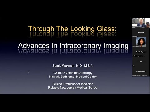 Through the Looking Glass: Advances in Intracoronary Imaging